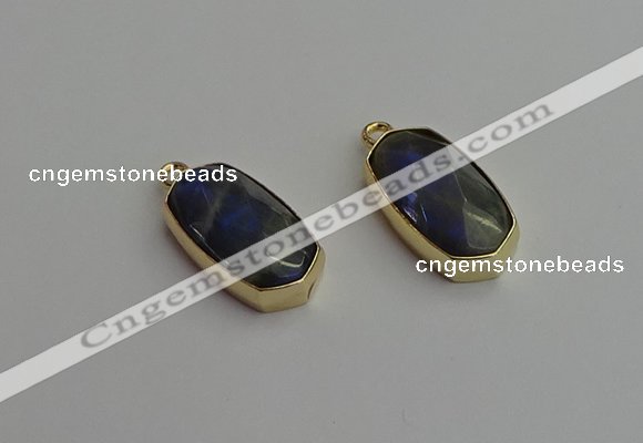 NGP7270 13*25mm faceted freeform labradorite pendants wholesale