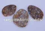 NGP955 5PCS 35-55mm*50-65mm freeform jasper gemstone pendants